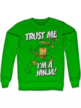 Пуловер Teenage Mutant Ninja Turtles, зеленый