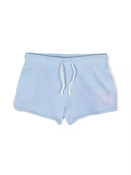 Ralph Lauren спортивные шорты Polo Pony, синий