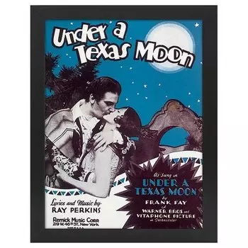 Рамка для фотографий LegendArte Poster Under A Texas Moon, черный