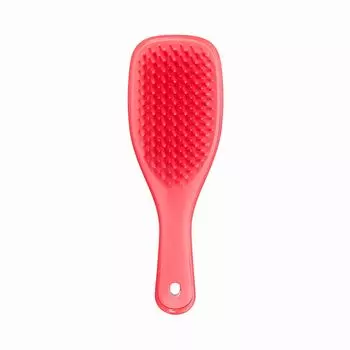 Расческа Tangle Teezer Mini, 1 шт.