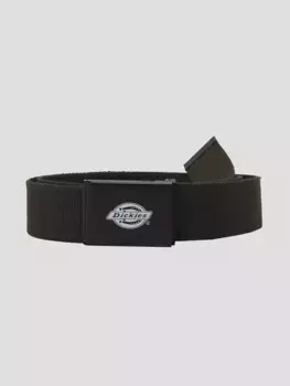 Ремень Orcutt Dickies, зеленый