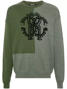 Roberto Cavalli джемпер RC, зеленый
