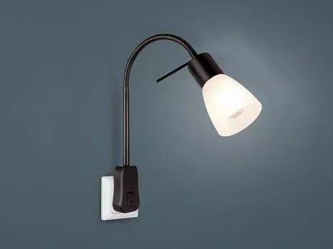 Розетка LEVISTO черная, 40см TRIO