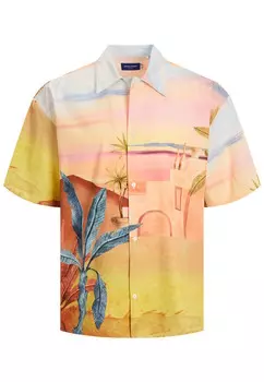 Рубашка Jack & Jones 'LANDSCAPE', разноцветный