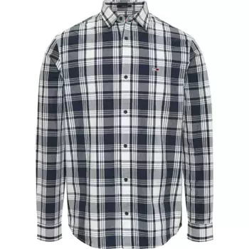 Рубашка Tommy Jeans Reg Check, разноцветный