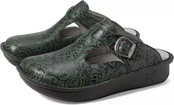 Сабо Classic Alegria, цвет Pine Gale