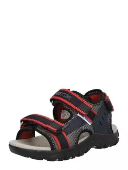 Сандалии GEOX Sandals & Slippers, темно-синий