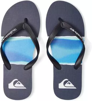 Сандалии Quiksilver Molokai Print, цвет (Airbrushed) Blue 1