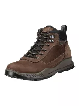 Сапоги Igi&Co Stiefelette, цвет Caffe