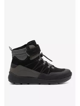 Сапоги Lasocki Leder-Boots, цвет Schwarz/Grau