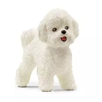 Schleich, статуэтка, собака Бишон Фризе
