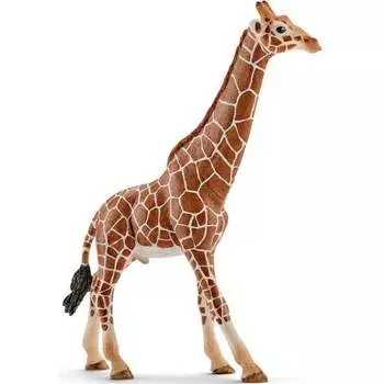 Schleich, статуэтка "Жираф-самец"