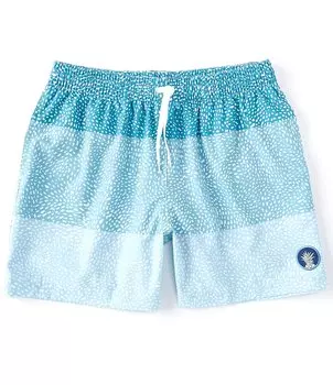 Семья Chubbies, соответствующая The Whale Sharks 5,5 Эластичные плавки по внутреннему шву, синий