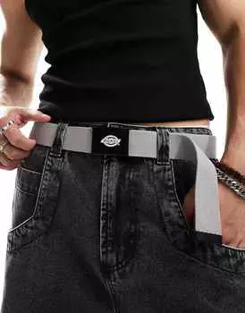 Серый ремень Dickies orcutt