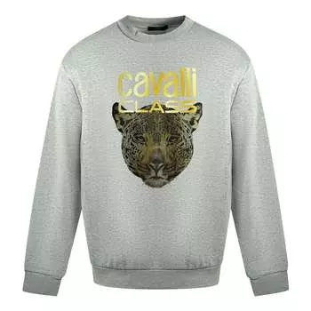 Серый свитер с леопардовым принтом и логотипом Cavalli class Roberto Cavalli, серый