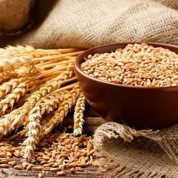 Шампунь Champ sin Sulfatos ni Parabenos para el Crecimiento del Pelo Ogx, 88 ml