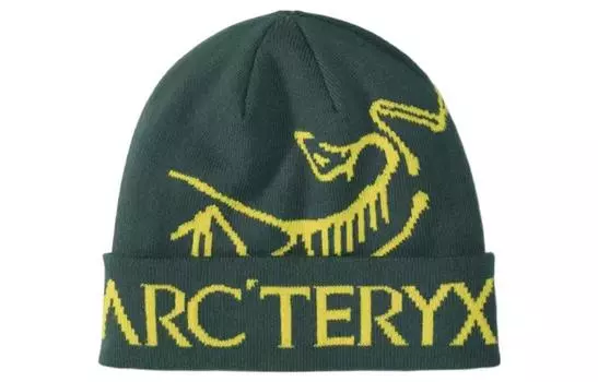 Шапка унисекс Arcteryx, зеленый/желтый