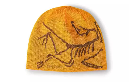 Шапка унисекс Arcteryx, желтый