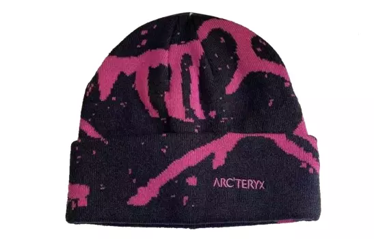 Шапка Arcteryx, черный / фиолетовый