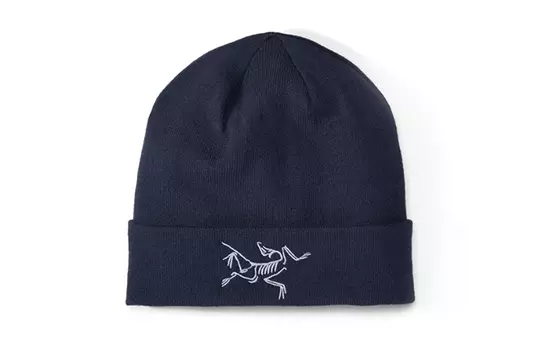 Шапка Arcteryx с логотипом, синий / черный