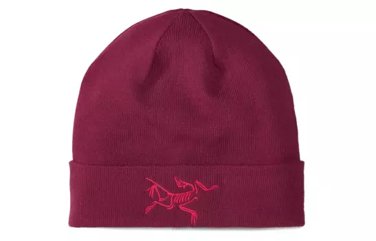 Шапка Arcteryx с логотипом, бордовый