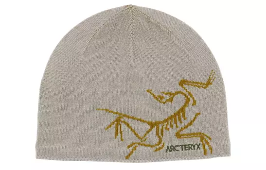 Шапка Arcteryx Unisex, серый