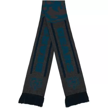 Шарф FOCO Chicago Bears