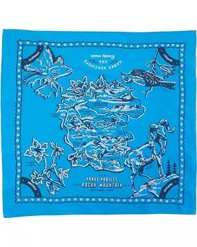 Шарф Parks Project HK X Parks Project Bird's-Eye Rocky Mountain Kerchief, синий