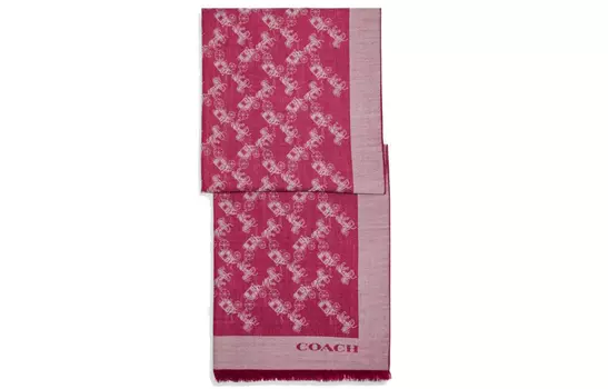 Шарф женский COACH