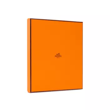 Шелковый шелковый шарф женский разноцветный HERMES