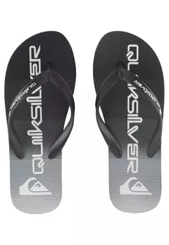 Шлепанцы MOLOKAI Quiksilver, черный