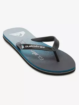 Шлепанцы Quiksilver MOLOKAI ART II, синий