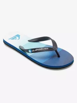 Шлепанцы Quiksilver MOLOKAI STRIPE, синий
