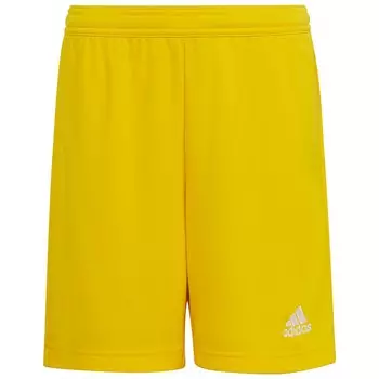 Шорты adidas Ent22, желтый