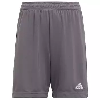 Шорты adidas Entrada 22, серый