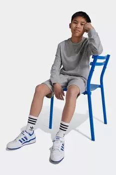 Шорты Adidas, серый