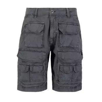 Шорты Alpha Industries Battle, серый