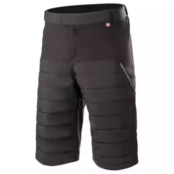 Шорты Alpinestars Denali 2, черный