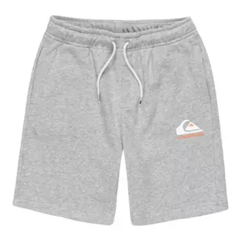 Шорты для мальчиков Quiksilver Easy Day, серый
