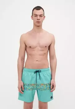 Шорты для плавания FRAMED VOLLEY UPDATE Rip Curl, синий