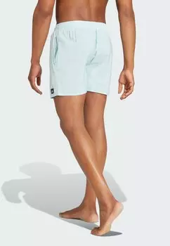Шорты для плавания Solid Clx Length adidas Sportswear, мята