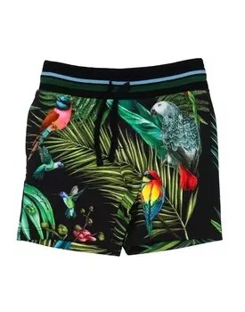 Шорты Dolce&Gabbana, черный