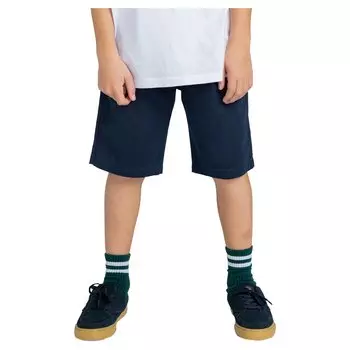 Шорты Element Howland Classic, синий