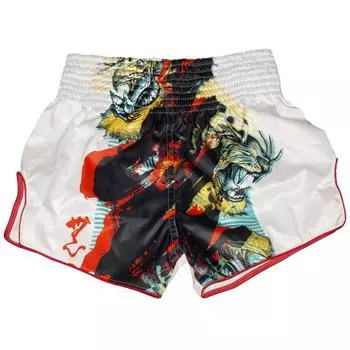 Шорты Fairtex BS1908
