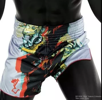 Шорты Fairtex BS1909