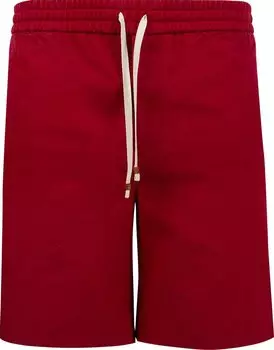 Шорты Gucci Shorts Live Red/Multicolor