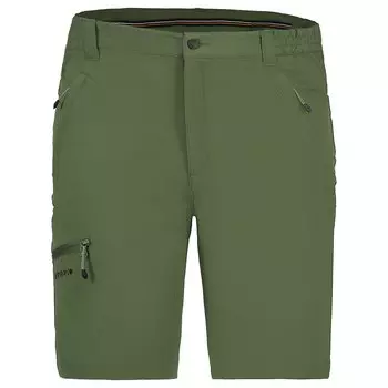 Шорты Icepeak Berwyn, зеленый