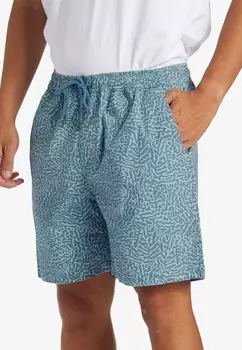 Шорты Quiksilver, цвет bge