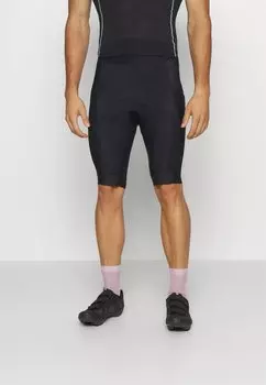 Шорты Rapha