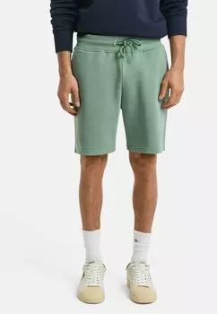 Шорты REG SHIELD GANT, зеленый